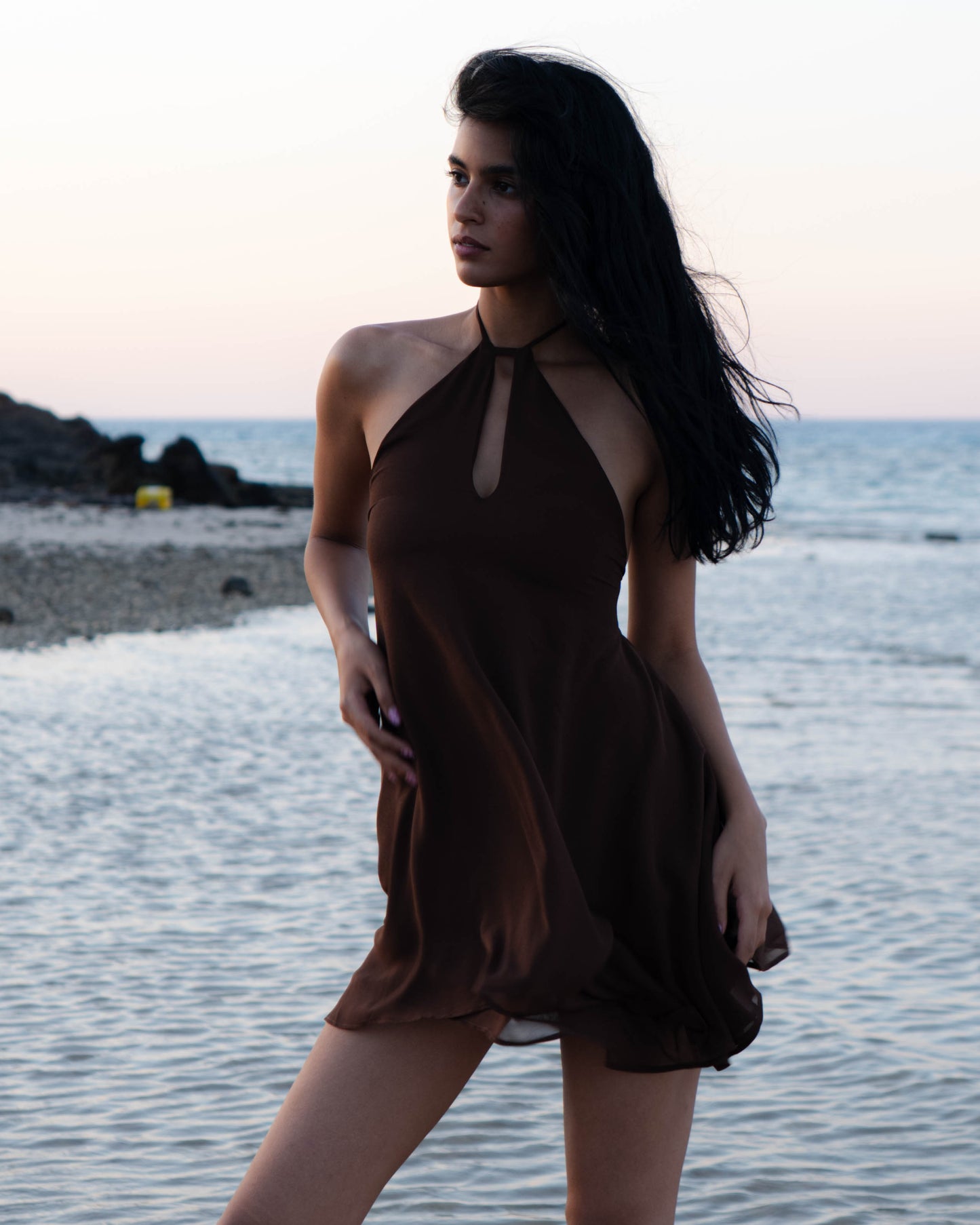'Coquille' Dress (Brown)