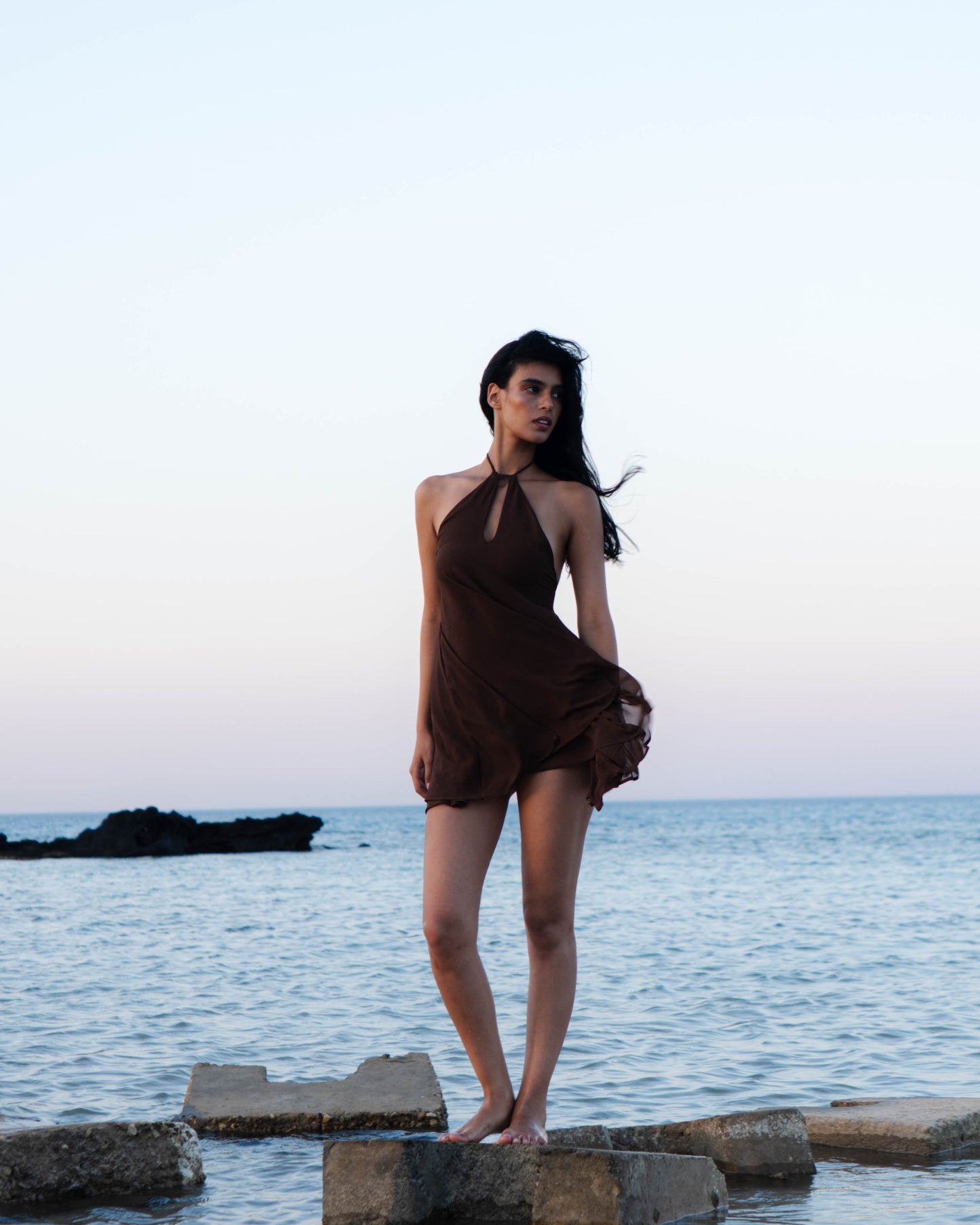 'Coquille' Dress (Brown)